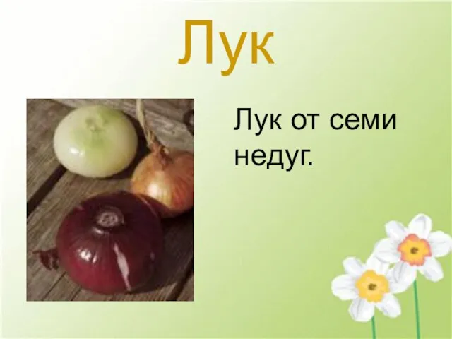 Лук Лук от семи недуг.