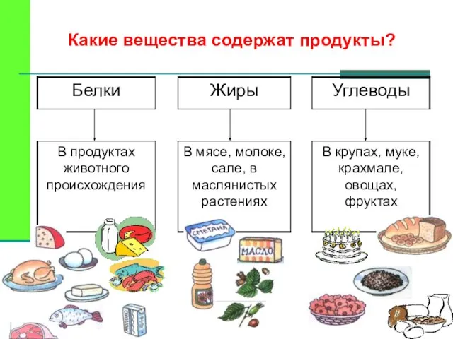 Какие вещества содержат продукты?