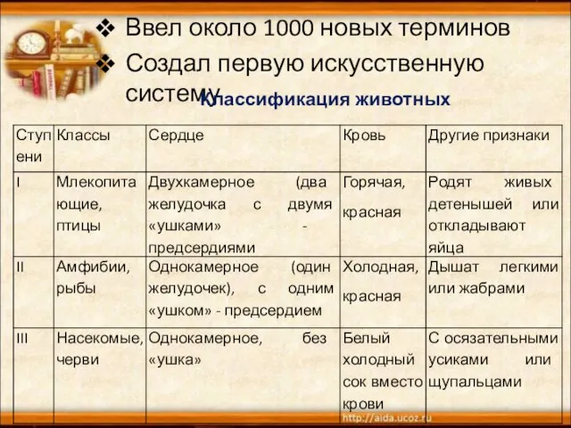 Ввел около 1000 новых терминов Создал первую искусственную систему Классификация животных