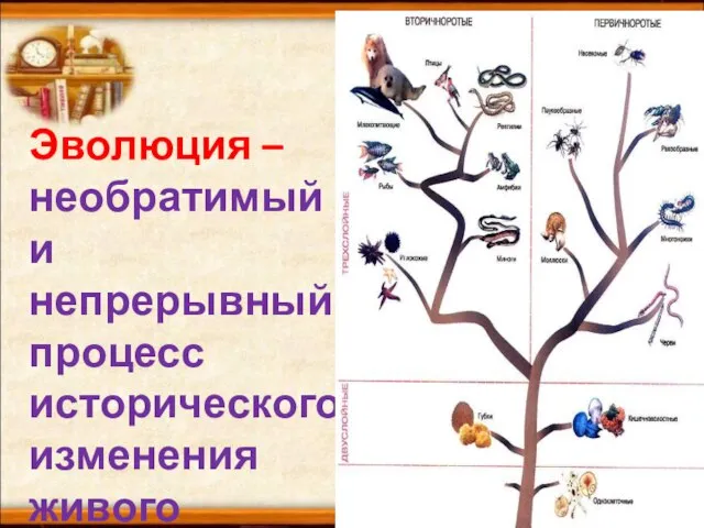 Эволюция – необратимый и непрерывный процесс исторического изменения живого