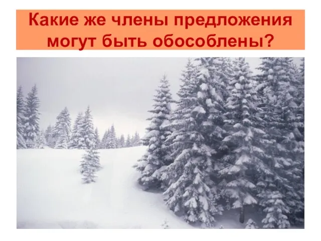 Какие же члены предложения могут быть обособлены?