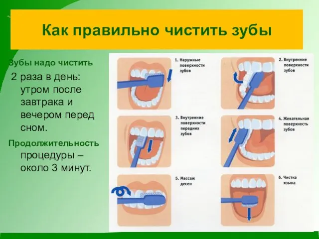 Как правильно чистить зубы Зубы надо чистить 2 раза в день: утром