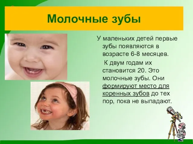 Молочные зубы У маленьких детей первые зубы появляются в возрасте 6-8 месяцев.