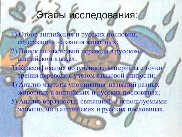 Этапы исследования: 1) Отбор английских и русских пословиц, содержащих названия животных; 2)