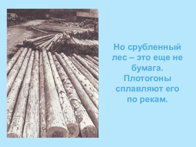 Но срубленный лес – это еще не бумага. Плотогоны сплавляют его по рекам.