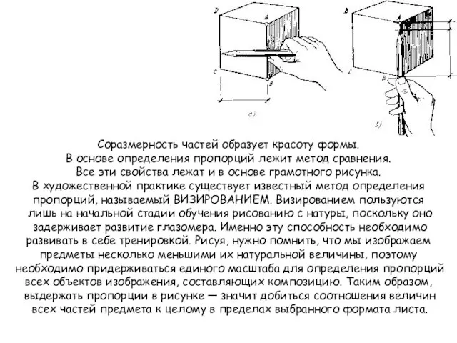 Соразмерность частей образует красоту формы. В основе определения пропорций лежит метод сравнения.