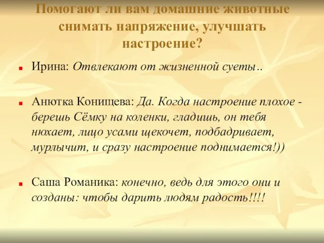 Помогают ли вам домашние животные снимать напряжение, улучшать настроение? Ирина: Отвлекают от