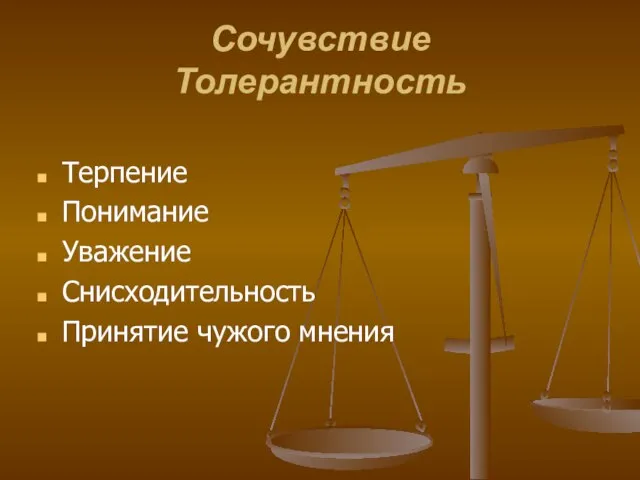 Сочувствие Толерантность Терпение Понимание Уважение Снисходительность Принятие чужого мнения