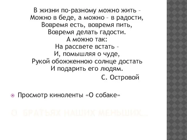 О БРАТЬЯХ НАШИХ МЕНЬШИХ… В жизни по-разному можно жить – Можно в