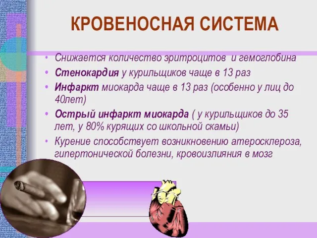 КРОВЕНОСНАЯ СИСТЕМА Снижается количество эритроцитов и гемоглобина Стенокардия у курильщиков чаще в