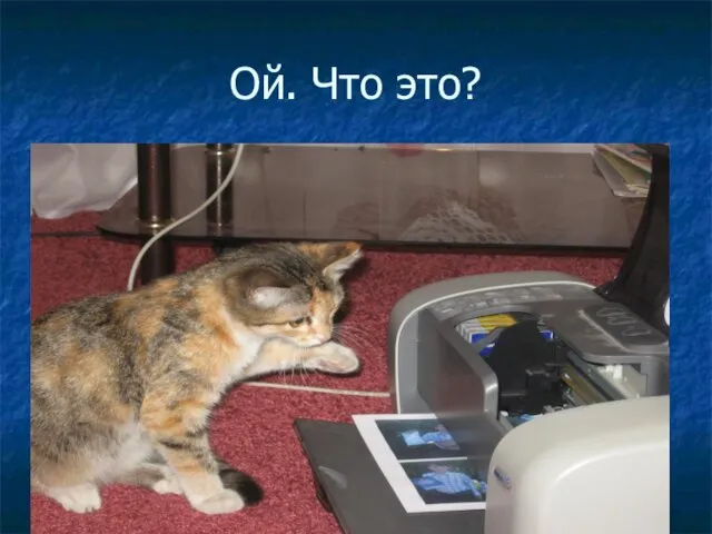 Ой. Что это?