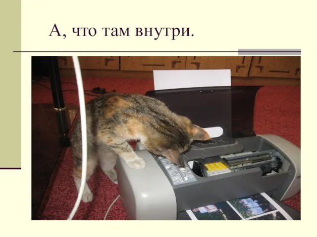 А, что там внутри.