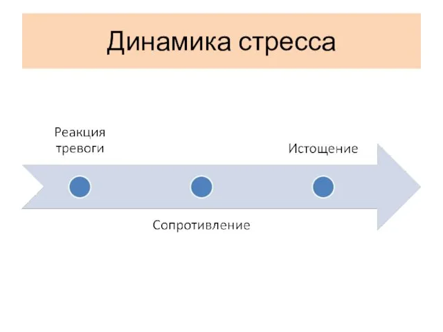 Динамика стресса