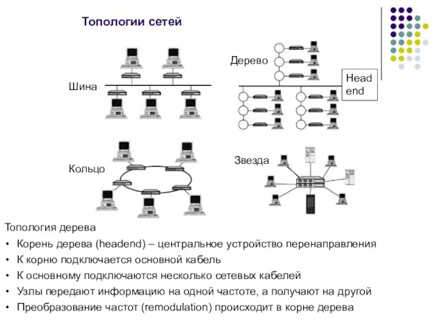 Топологии сетей Дерево Шина Кольцо Звезда Топология дерева Корень дерева (headend) –