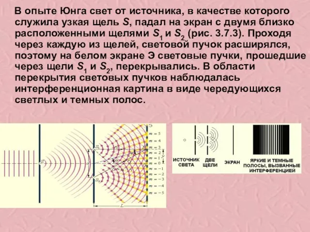 В опыте Юнга свет от источника, в качестве которого служила узкая щель