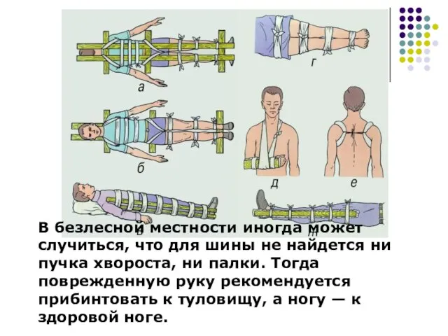 В безлесной местности иногда может случиться, что для шины не найдется ни