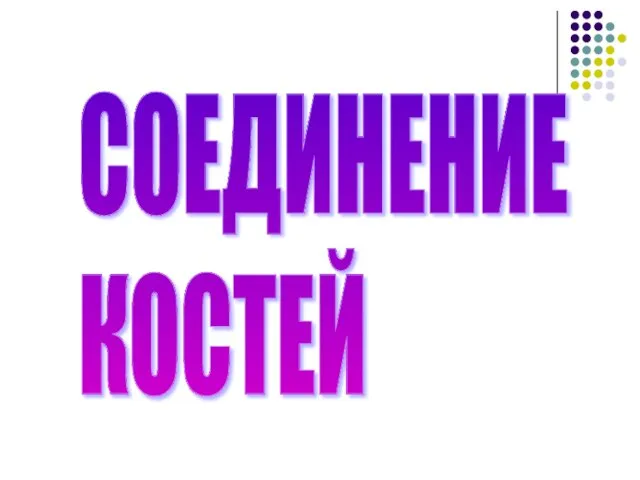 СОЕДИНЕНИЕ КОСТЕЙ