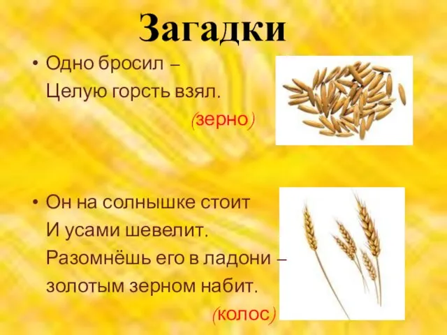 Загадки Одно бросил – Целую горсть взял. (зерно) Он на солнышке стоит