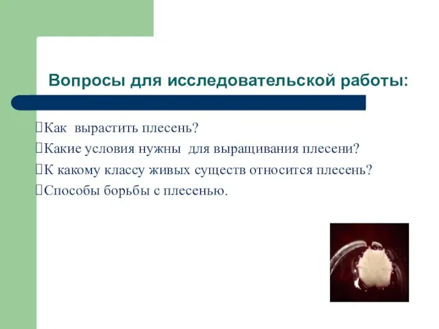 Вопросы для исследовательской работы: Как вырастить плесень? Какие условия нужны для выращивания