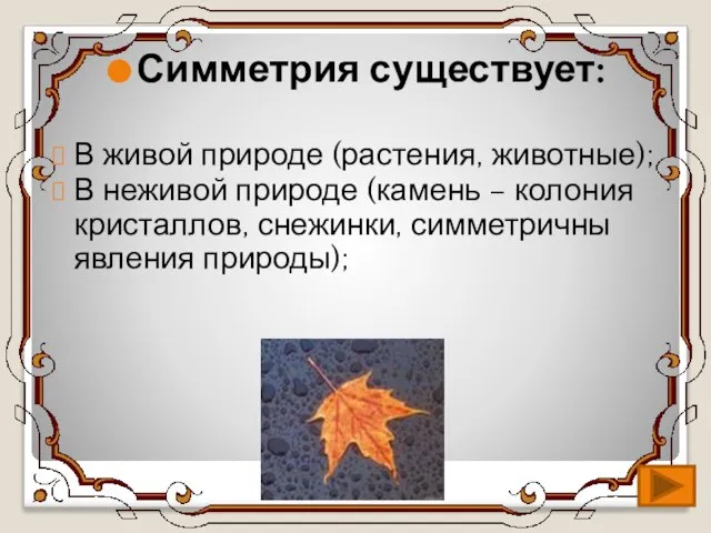 Симметрия существует: В живой природе (растения, животные); В неживой природе (камень –