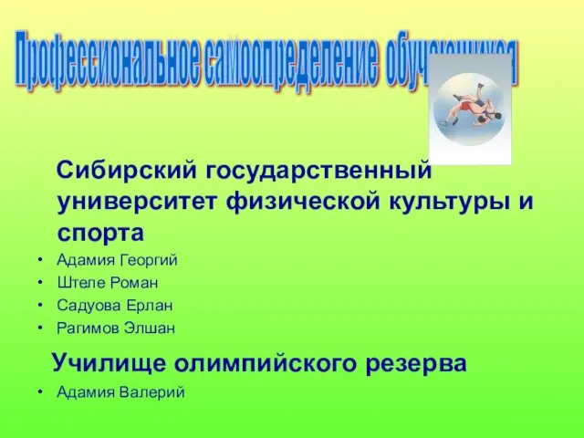 Сибирский государственный университет физической культуры и спорта Адамия Георгий Штеле Роман Садуова