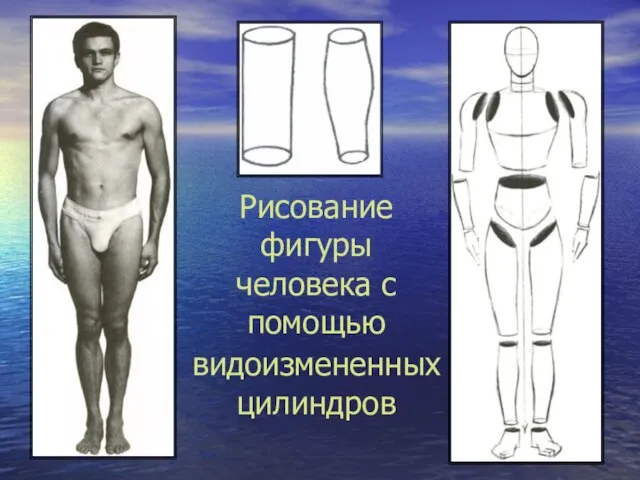 Рисование фигуры человека с помощью видоизмененных цилиндров