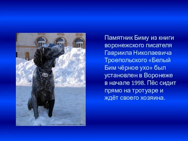 Памятник Биму из книги воронежского писателя Гавриила Николаевича Троепольского «Белый Бим чёрное