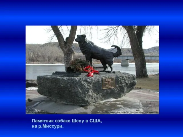 , Памятник собаке Шепу в США, на р.Миссури.