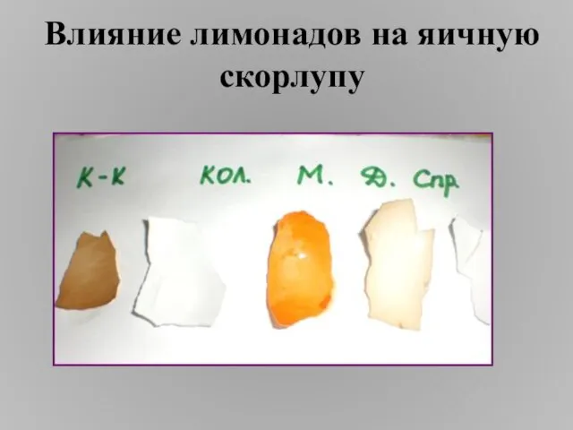 Влияние лимонадов на яичную скорлупу