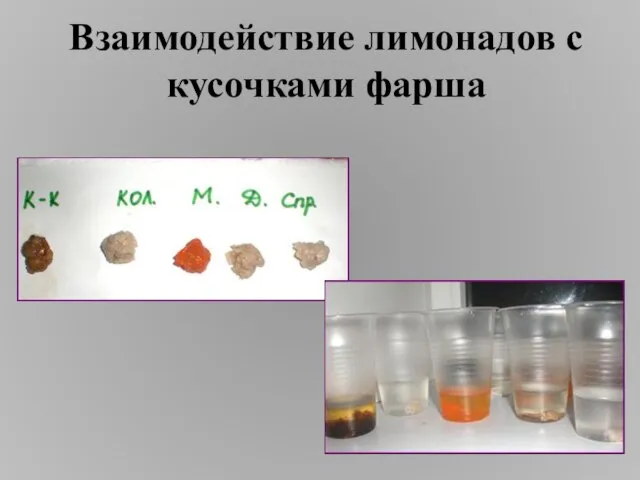 Взаимодействие лимонадов с кусочками фарша