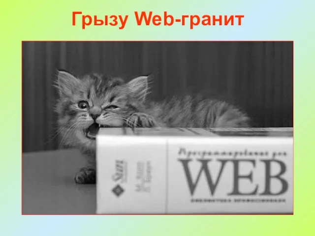 Грызу Web-гранит