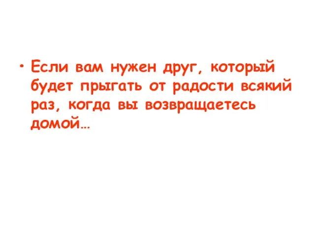 Если вам нужен друг, который будет прыгать от радости всякий раз, когда вы возвращаетесь домой…