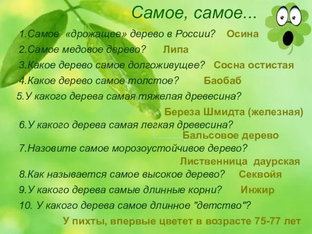 Самое, самое... 1.Самое «дрожащее» дерево в России? 2.Самое медовое дерево? 3.Какое дерево