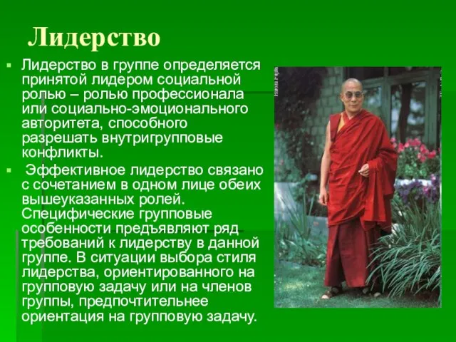 Лидерство Лидерство в группе определяется принятой лидером социальной ролью – ролью профессионала