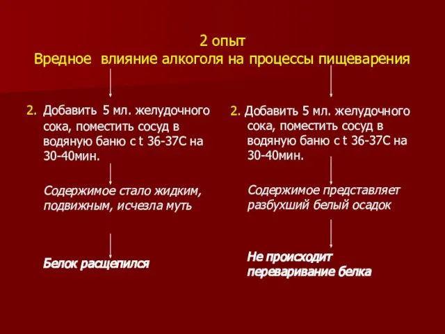 2 опыт Вредное влияние алкоголя на процессы пищеварения 2. Добавить 5 мл.