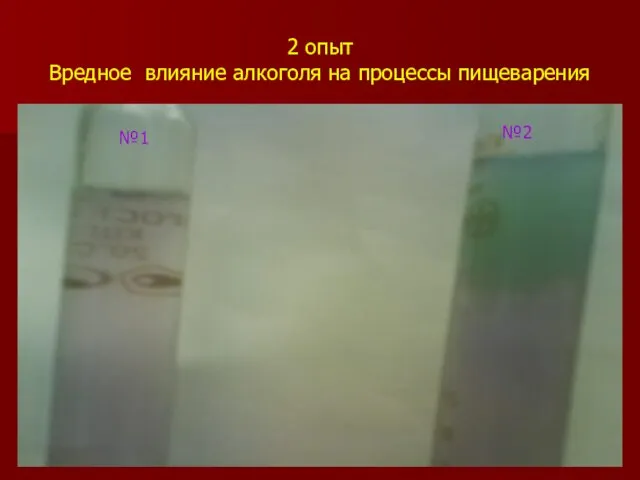 2 опыт Вредное влияние алкоголя на процессы пищеварения №1 №2