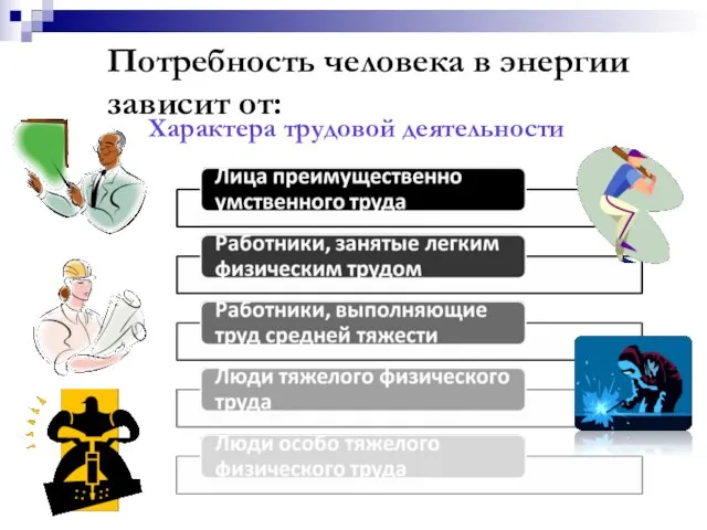 Характера трудовой деятельности Потребность человека в энергии зависит от: