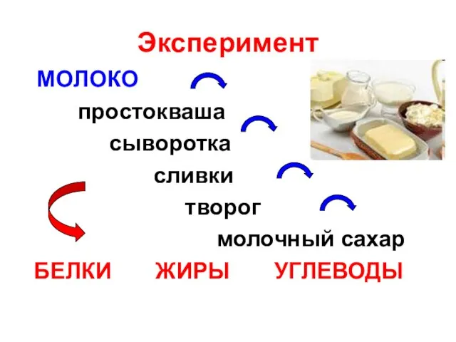 Эксперимент МОЛОКО простокваша сыворотка сливки творог молочный сахар БЕЛКИ ЖИРЫ УГЛЕВОДЫ