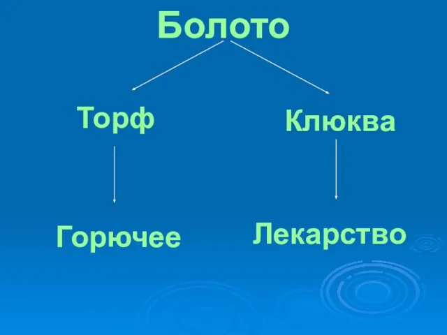 Болото Торф Клюква Горючее Лекарство