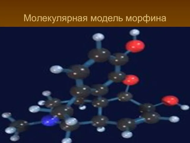 Молекулярная модель морфина