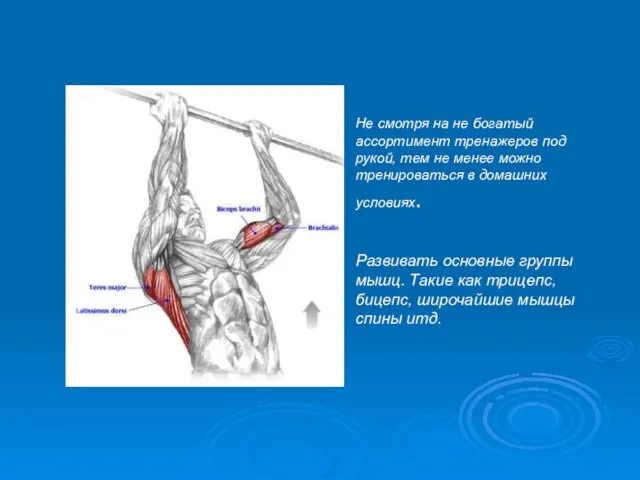 Не смотря на не богатый ассортимент тренажеров под рукой, тем не менее