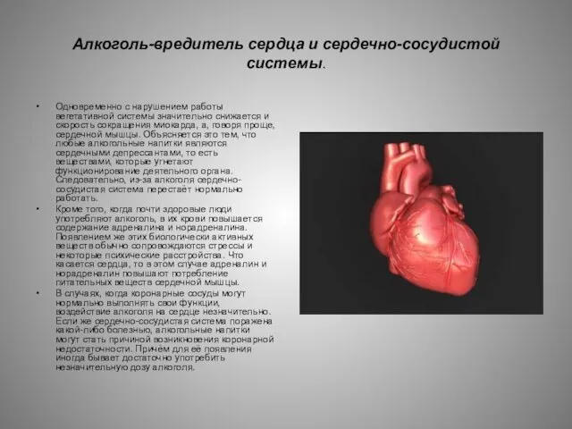 Алкоголь-вредитель сердца и сердечно-сосудистой системы. Одновременно с нарушением работы вегетативной системы значительно