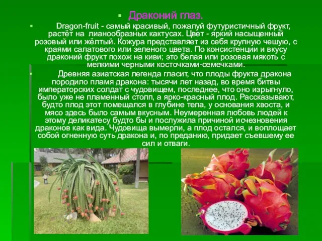 Драконий глаз. Dragon-fruit - самый красивый, пожалуй футуристичный фрукт, растёт на лианообразных