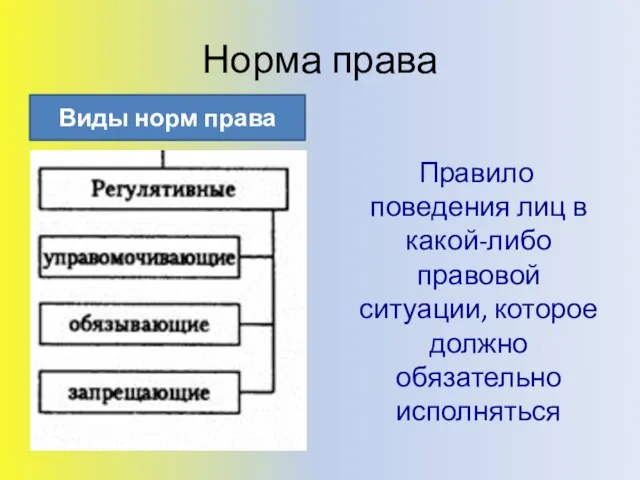 Норма права Правило поведения лиц в какой-либо правовой ситуации, которое должно обязательно исполняться Виды норм права