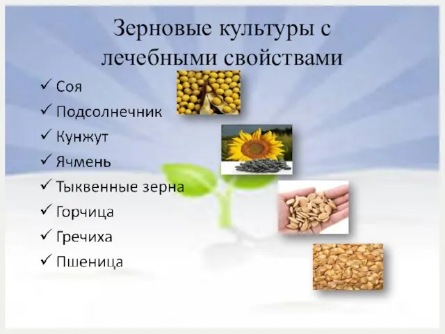Зерновые культуры с лечебными свойствами