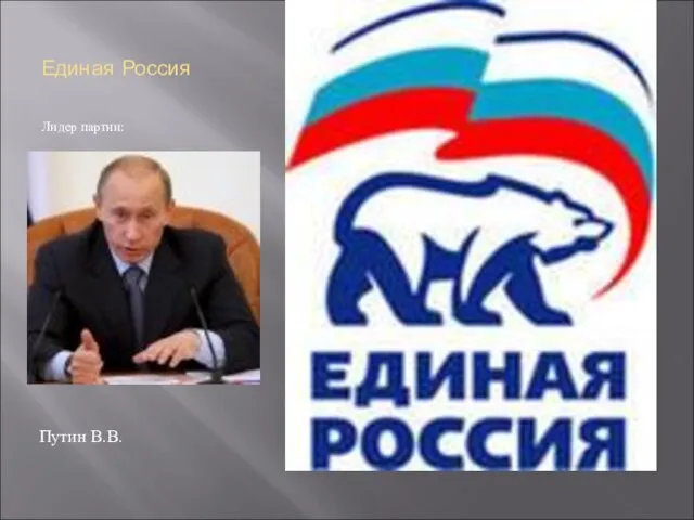 Единая Россия Лидер партии: Путин В.В.