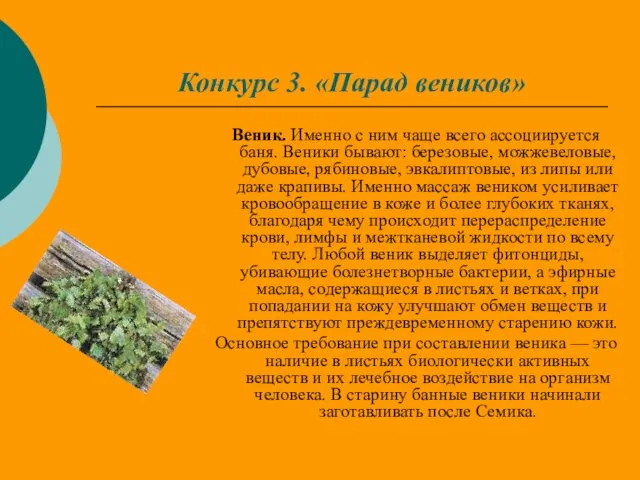 Конкурс 3. «Парад веников» Веник. Именно с ним чаще всего ассоциируется баня.