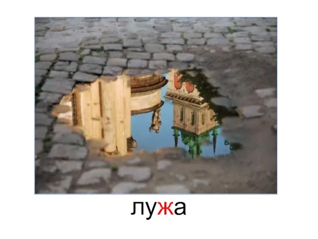 лужа