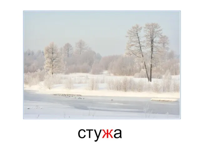 стужа