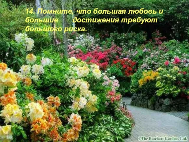 14. Помните, что большая любовь и большие достижения требуют большого риска.